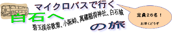 $B%^%$%/%m%P%9$G9T$/Gr@P$X$NN9(B